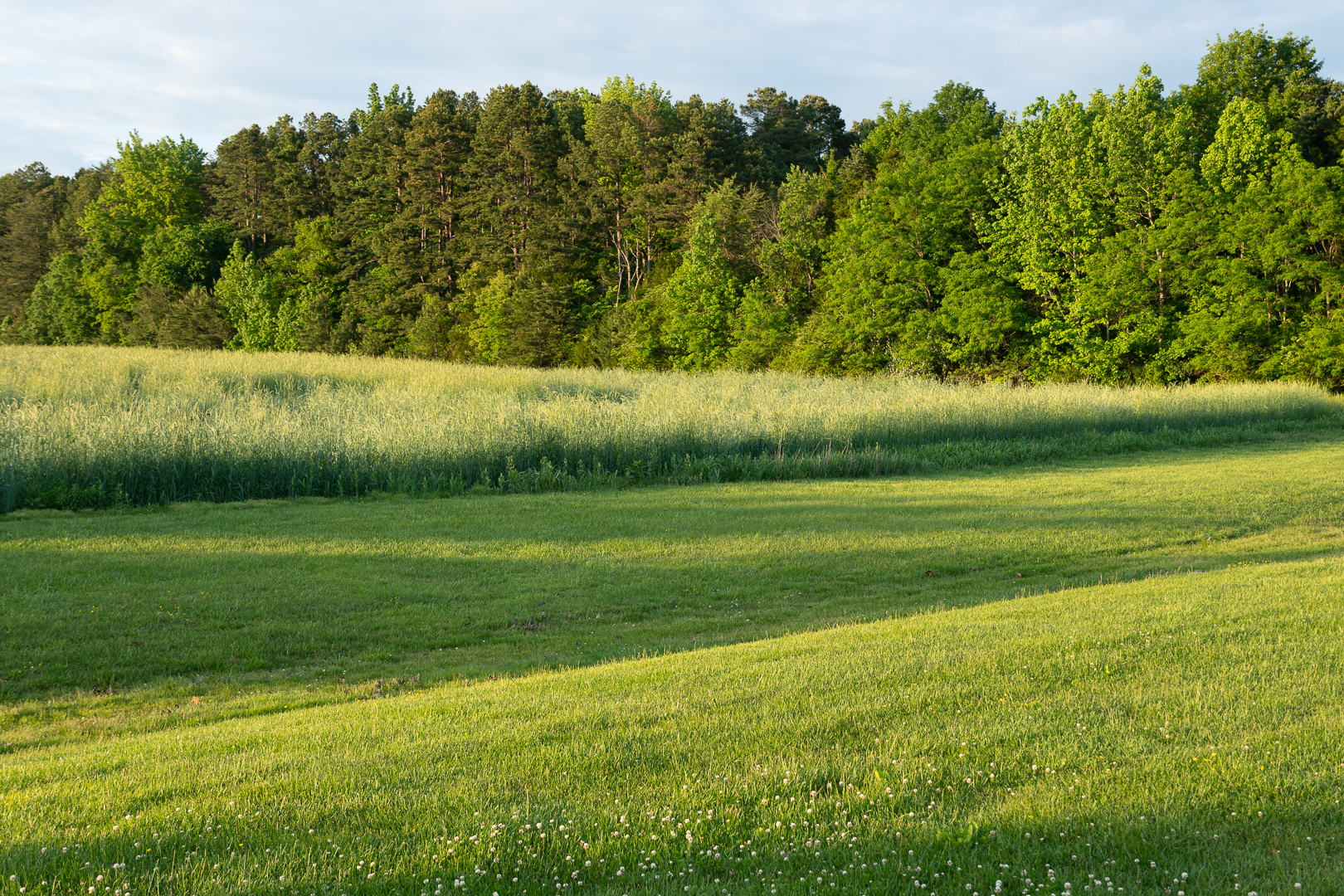 Farmland in Lunenburg County, Va.