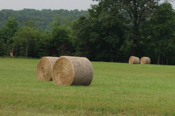 Farmland in Nottoway County, Virginia