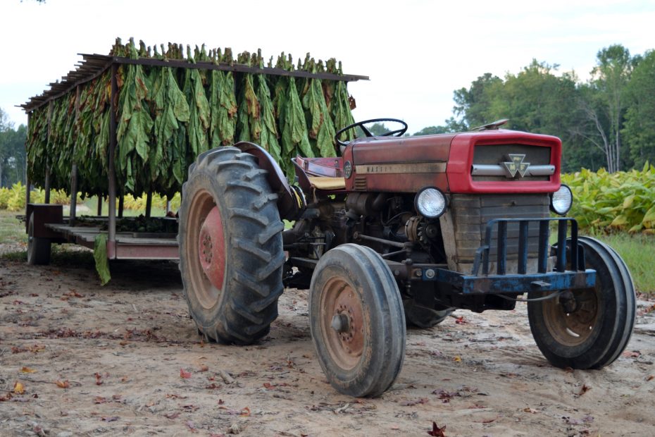 Hawthorne Farms, a tobacco farm in Brunswick County, Virginia run by Robert E. Hawthorne, Jr.